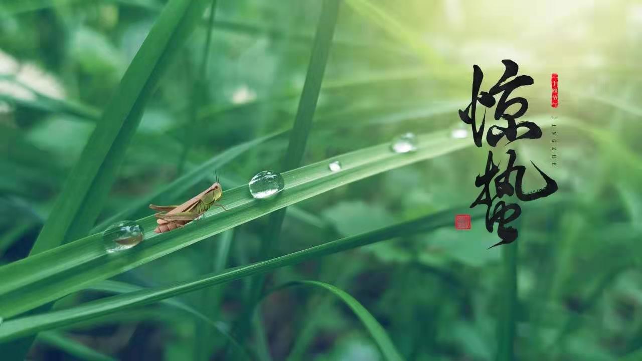 驚蟄萬物生——只爭朝夕，不負韶華